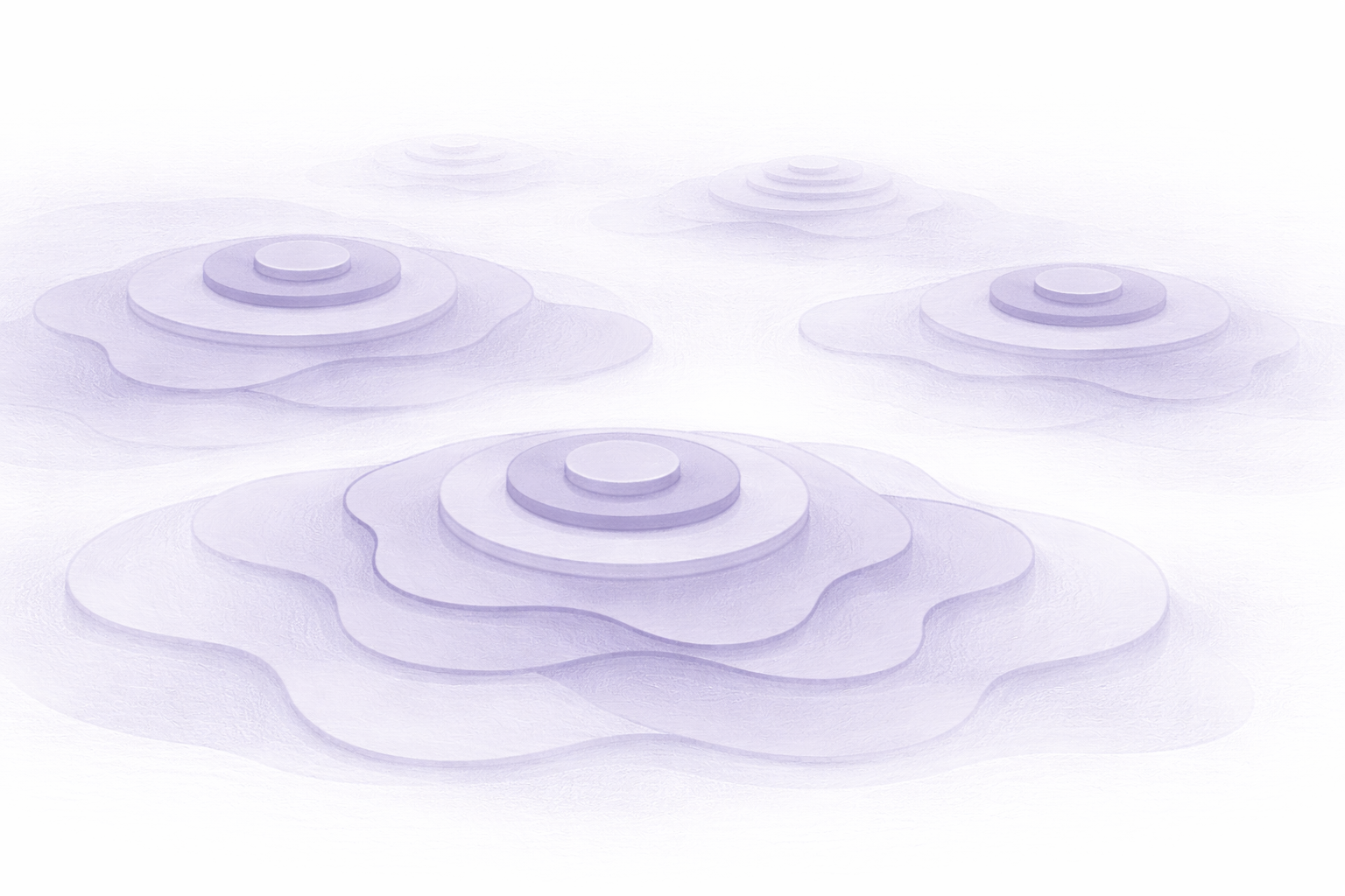 Organizational Ecology Theory