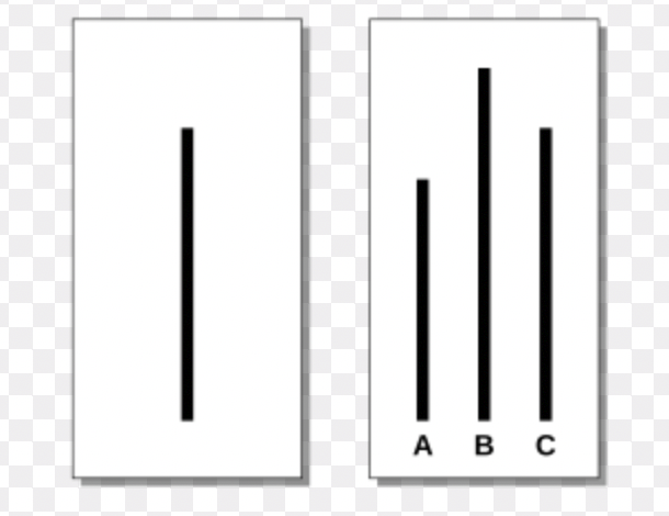 image-3.png